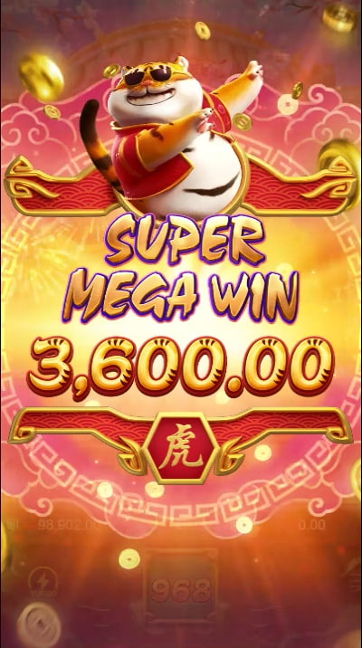 Placar campeão bet