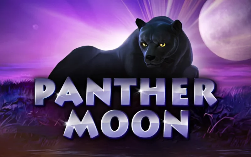 Melhor horário para jogar fortune tiger